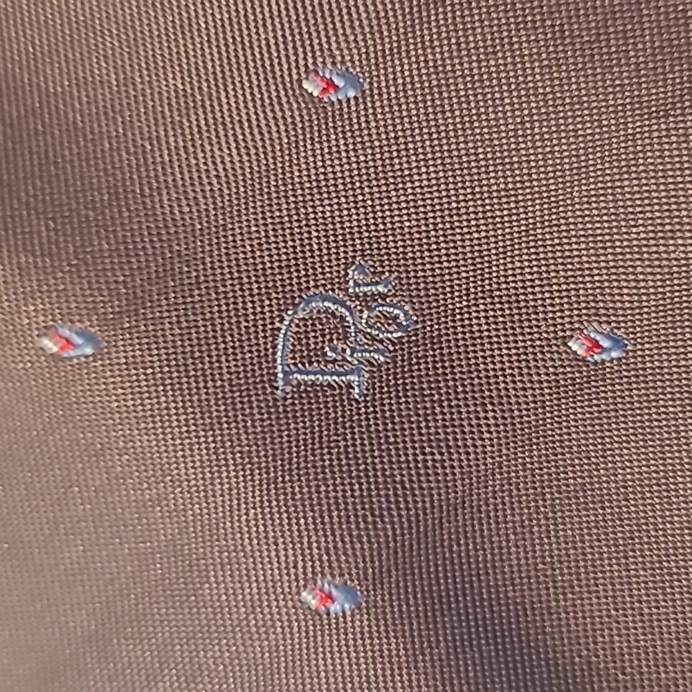 Christian Dior Necktie